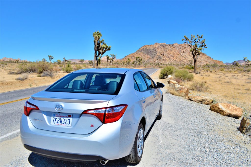 California road trip, Joshua Treet National Park