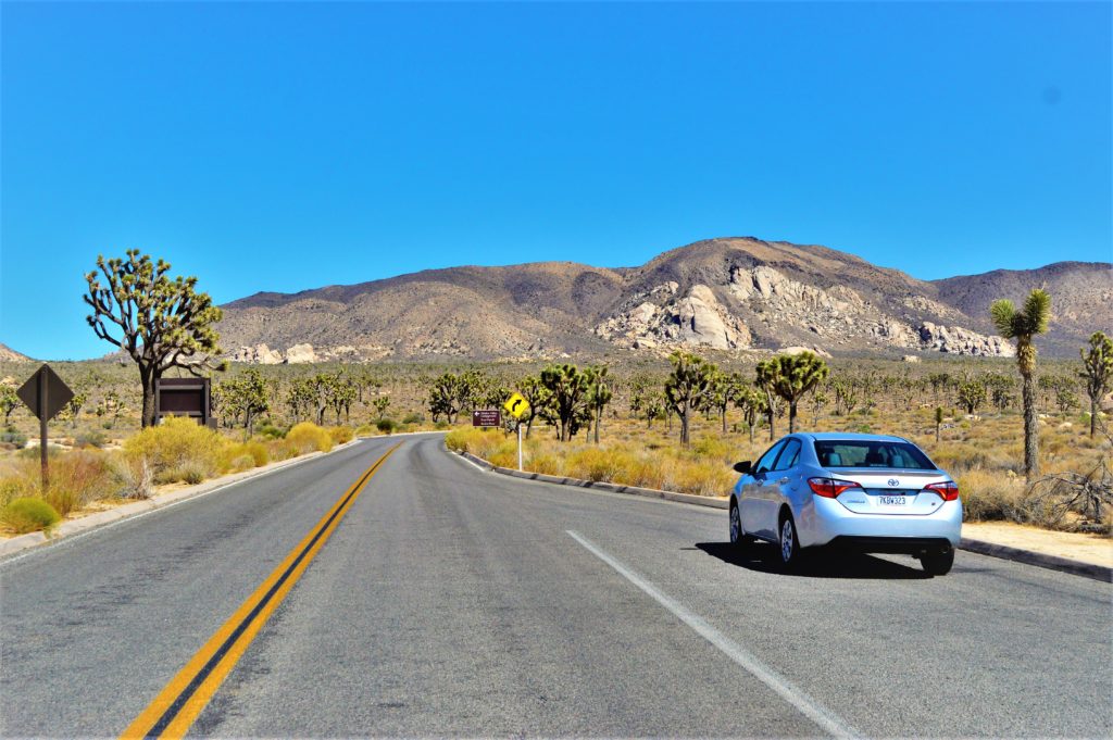 Car rental, Joshua Tree National Park, California