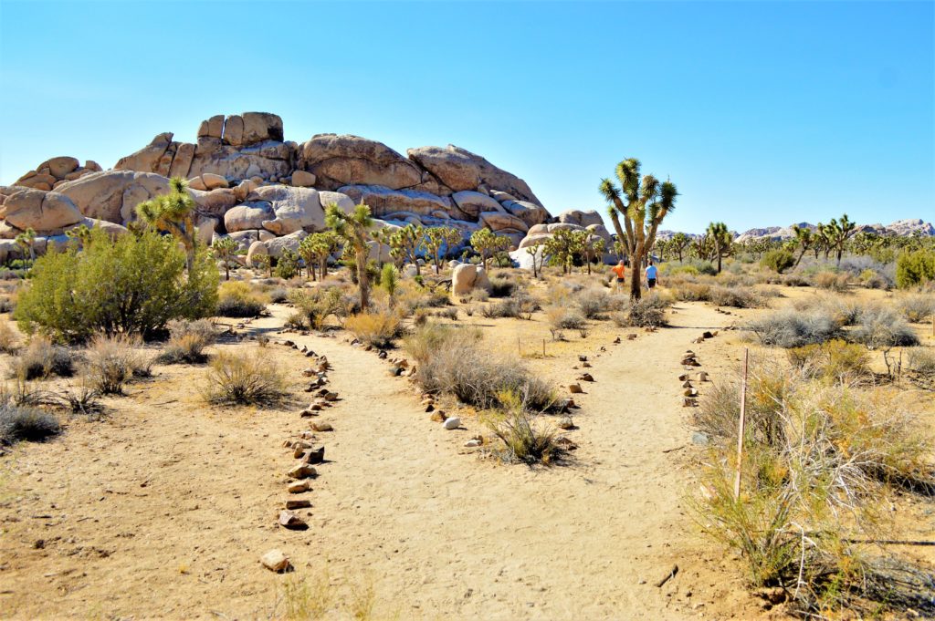 Hiking paths, Joshua Tree national Park, USA