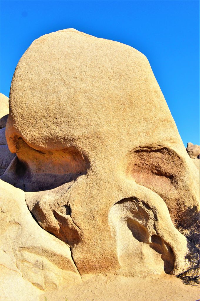 Joshua Tree National Park's Skull Rock