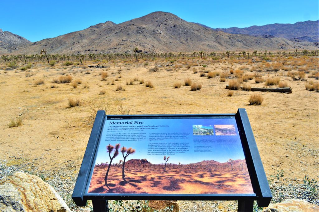 Memorial Fire Sign, Joshua Treet national Park, California