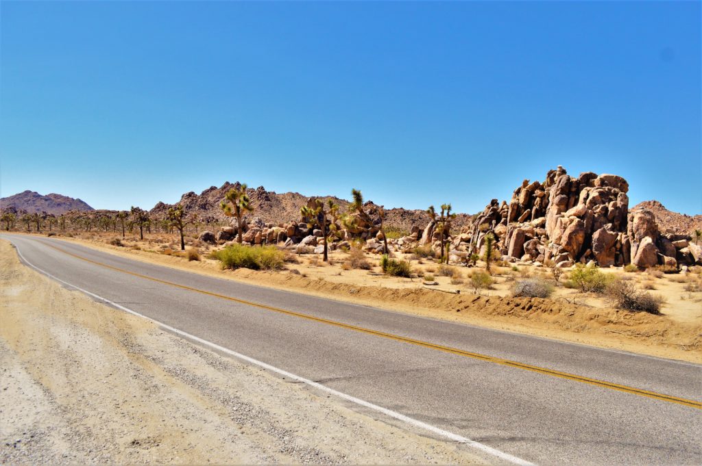 Road through Joshua Tree National Park, California