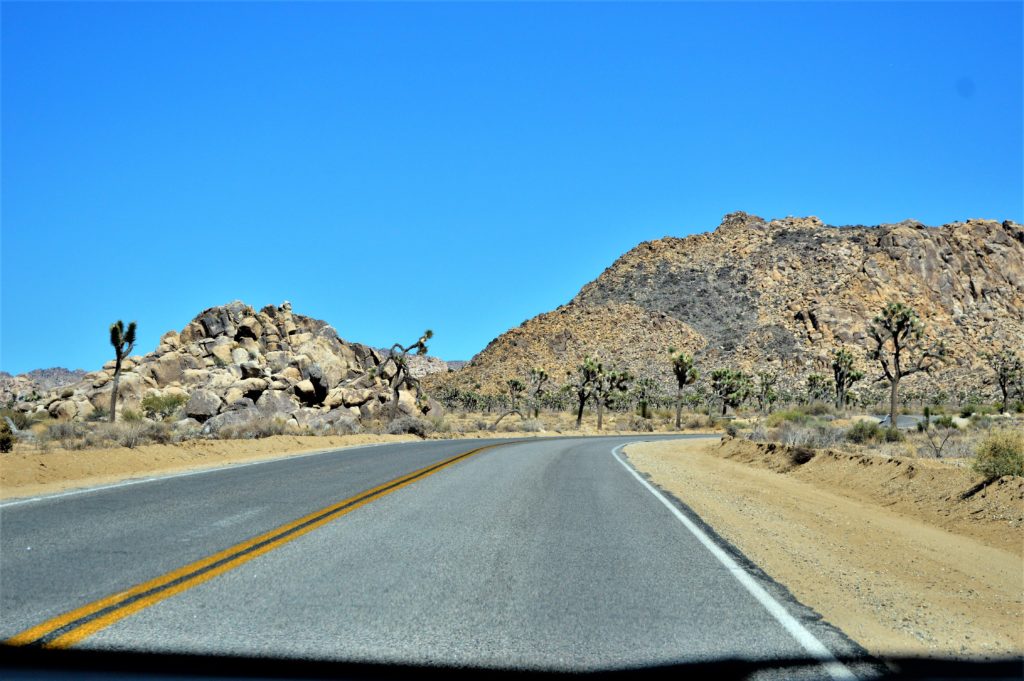 Road trip, Joshua Tree National Park