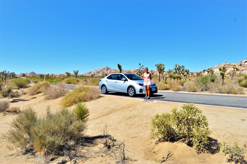 Road trip to Joshua Treet National Park, California