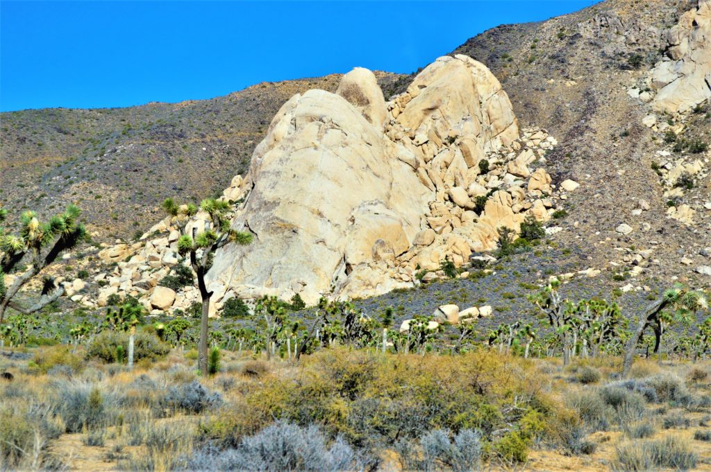 Rock formations, Joshua Treet National Park, California