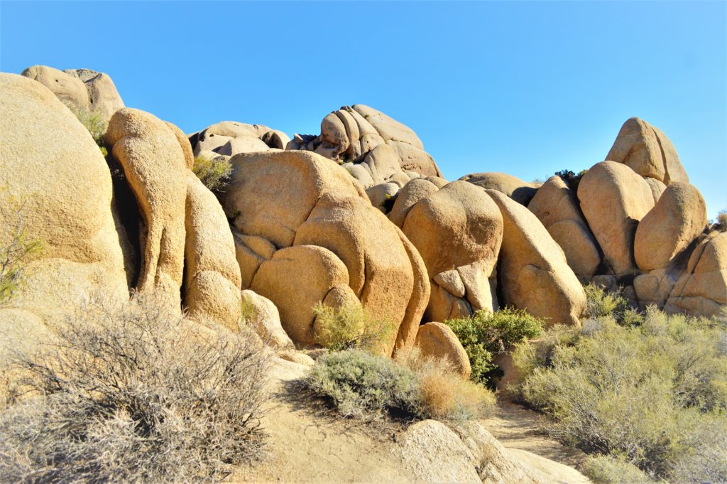 Rocks, Joshua Tree National Park, California