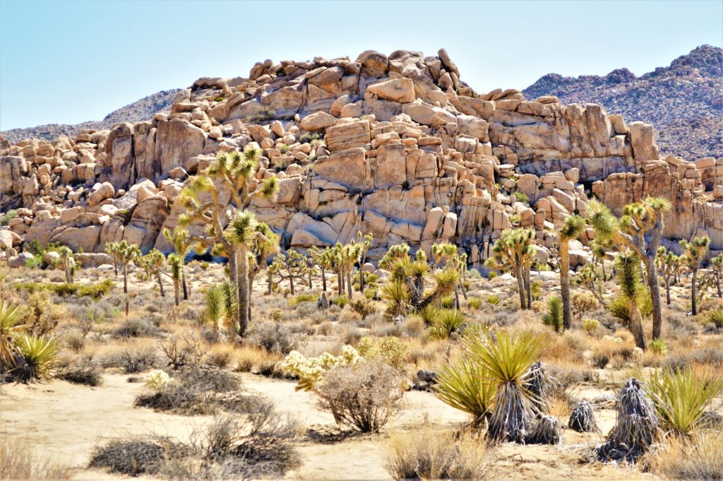 Rocks and mountains, Joshua Tree, California
