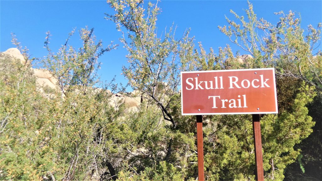 Skull Rock Trail sign, Joshua Tree National Park, US