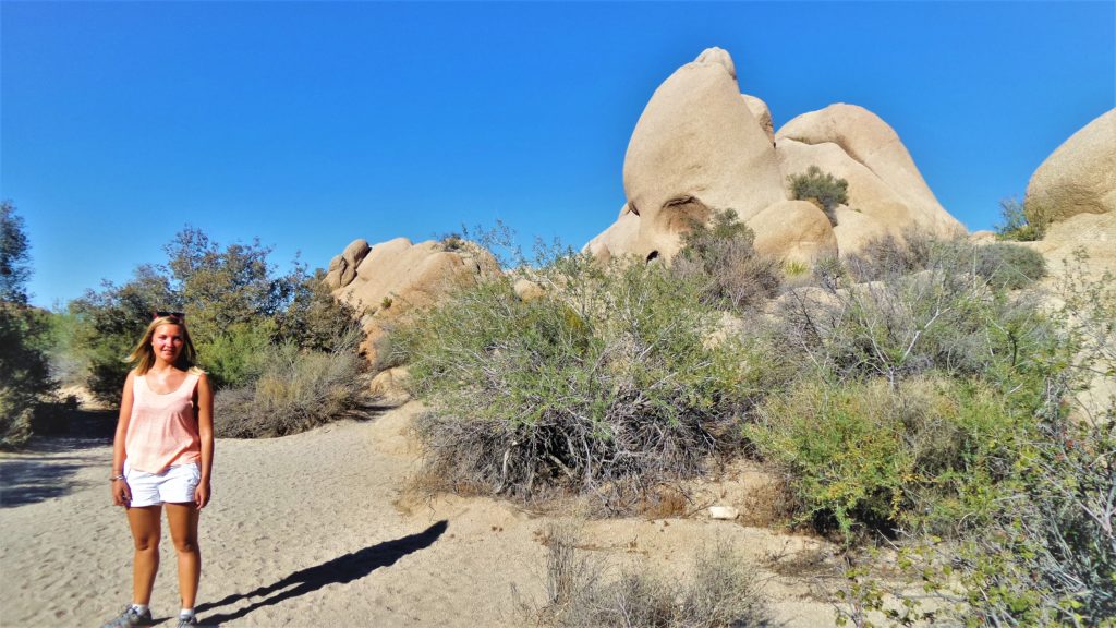 Skull Rock trail, California