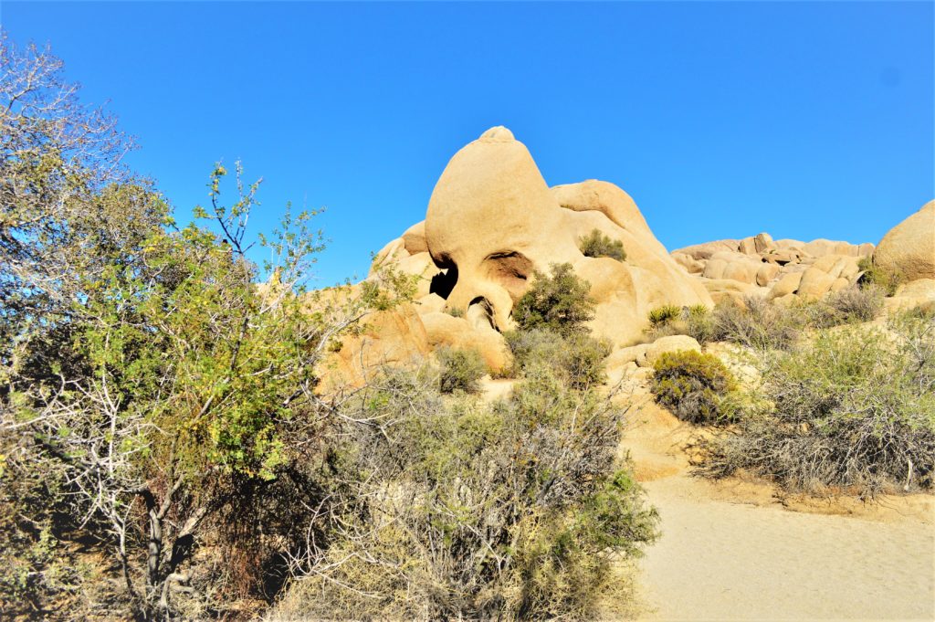 Skull rock, Joshua Tree National Park, California