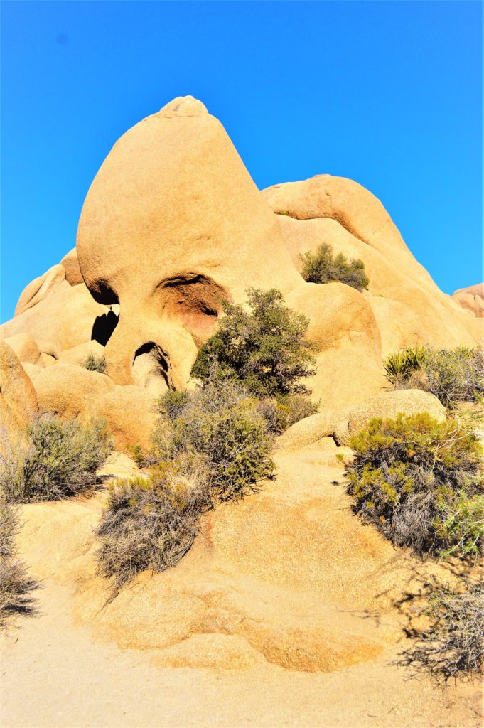 Skull rock close up, Joshua tree national park, California