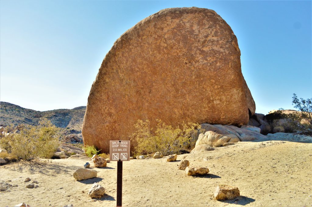 Split Rock loop trail, Joshua Tree National Park, California