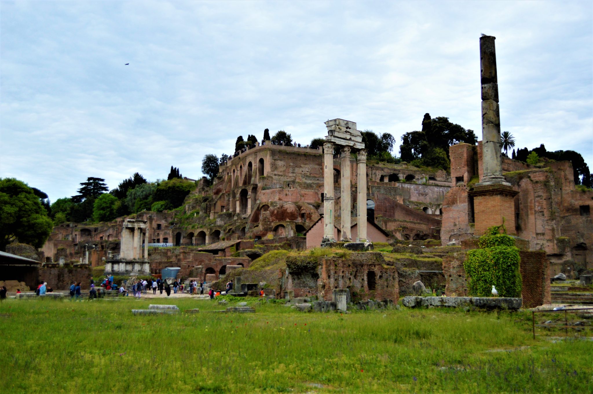The Roman Forum, Rome, Italy
