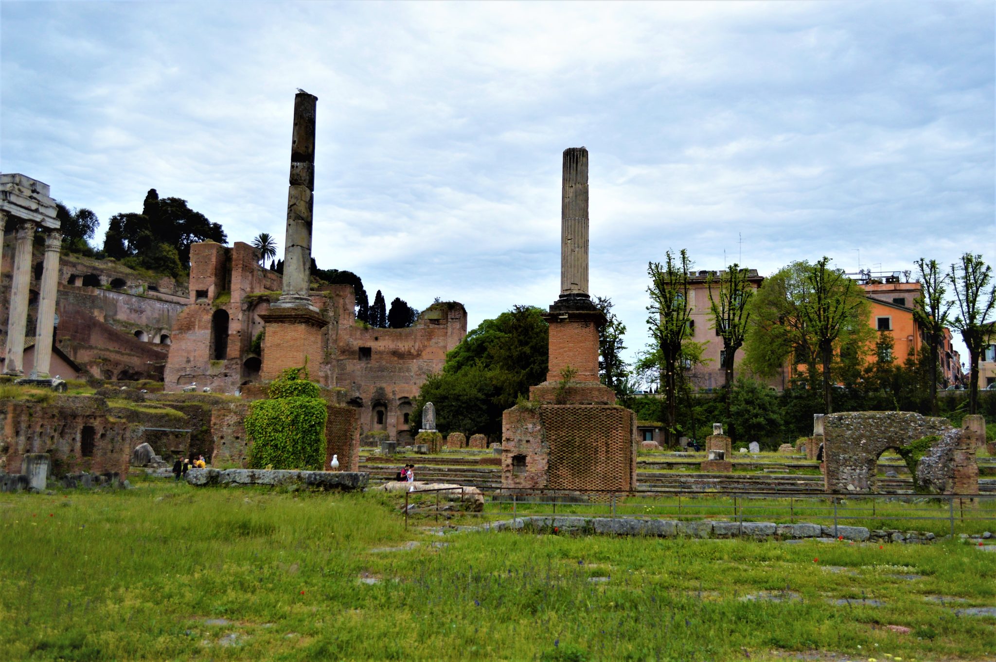 Roman Forum ruins, Rome, Italy