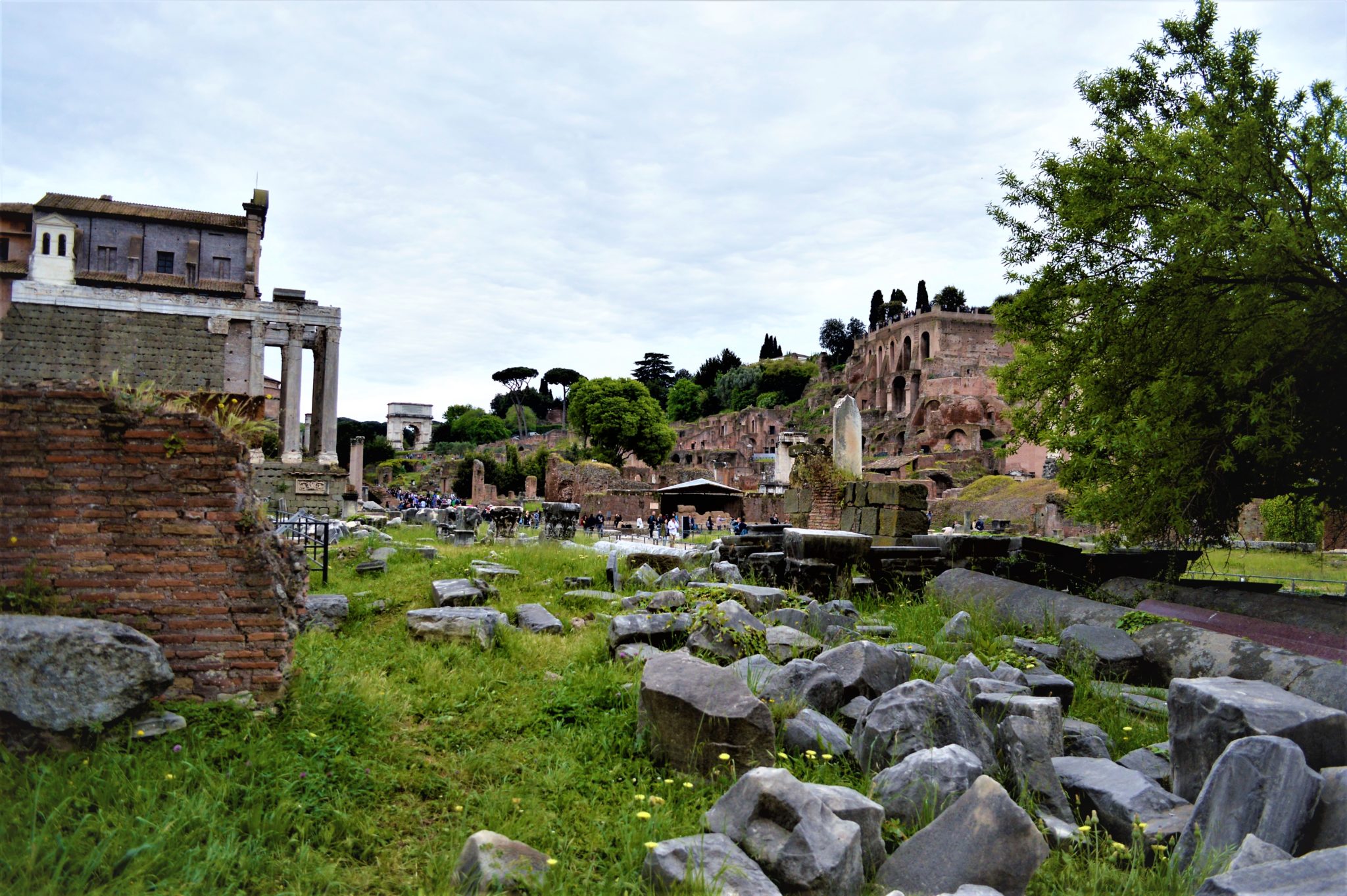 Roman forum attraction, Rome, Italy