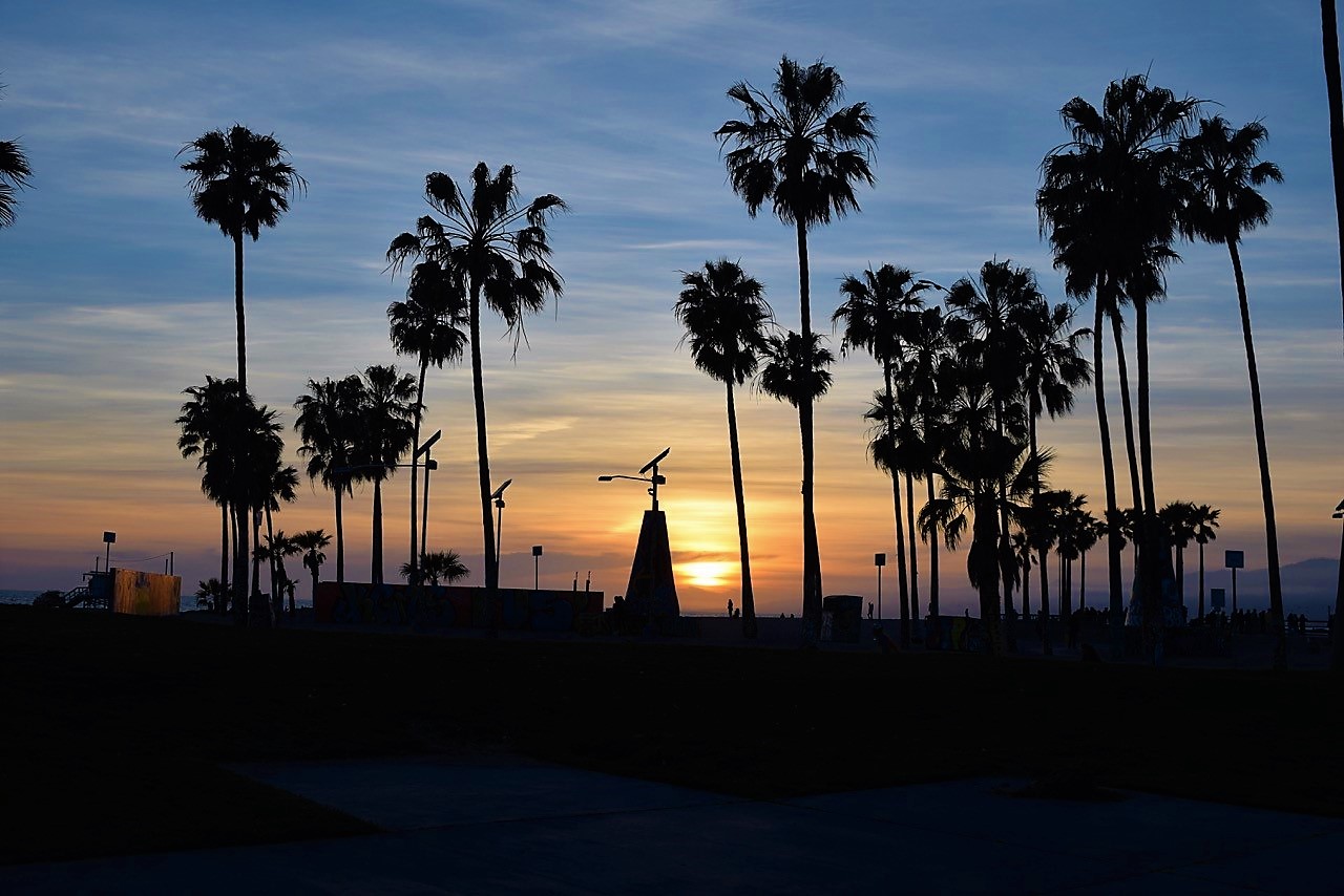 Picture of the Venice beach sunset