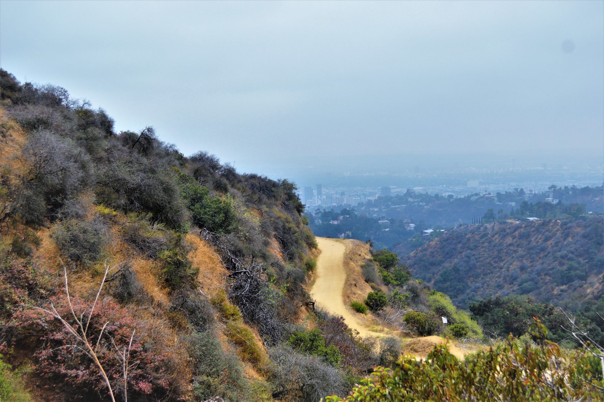 Hollywood Sign hike, california
