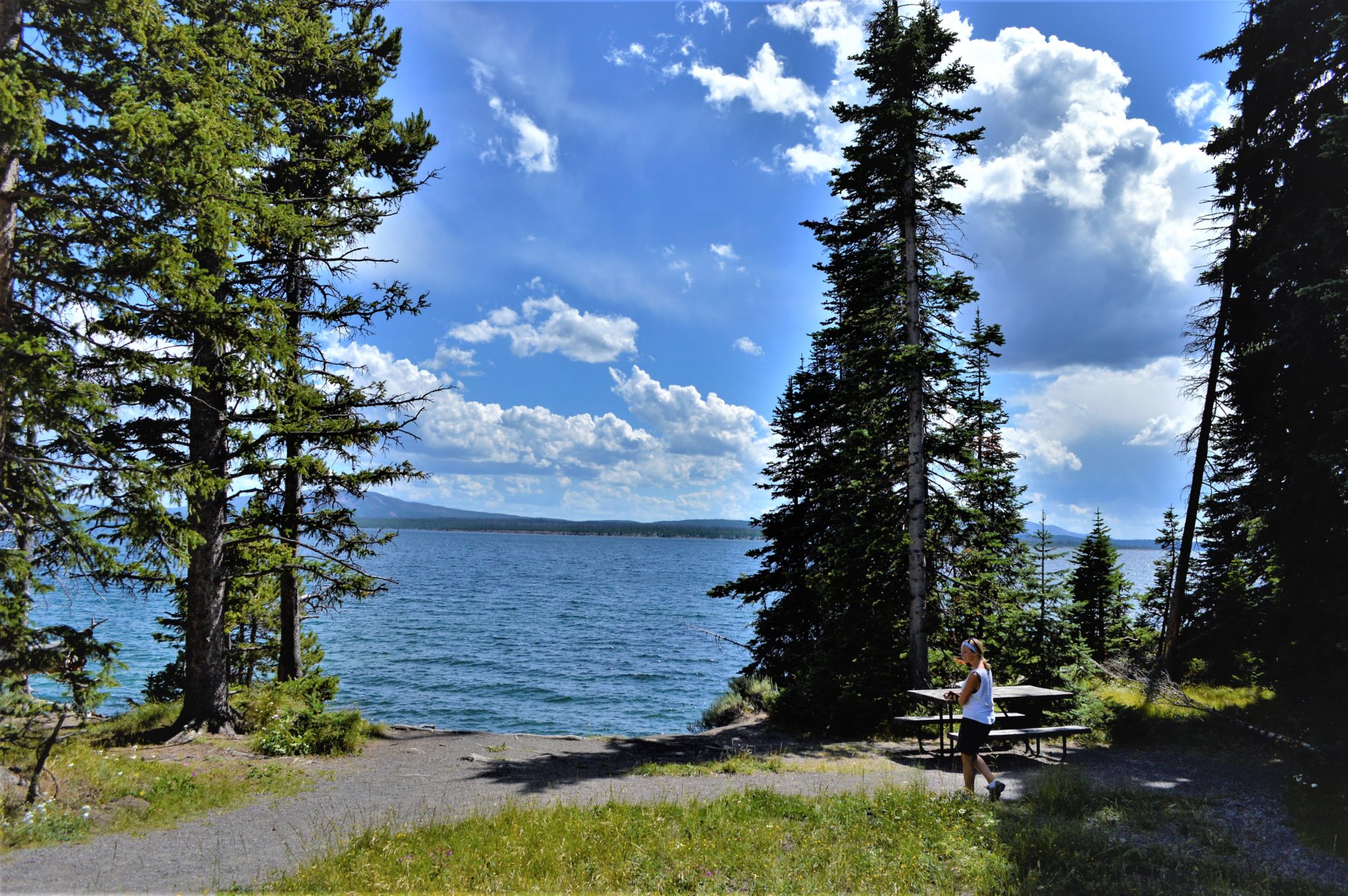 Picnic at Yellowstone Lake, National Park, USA