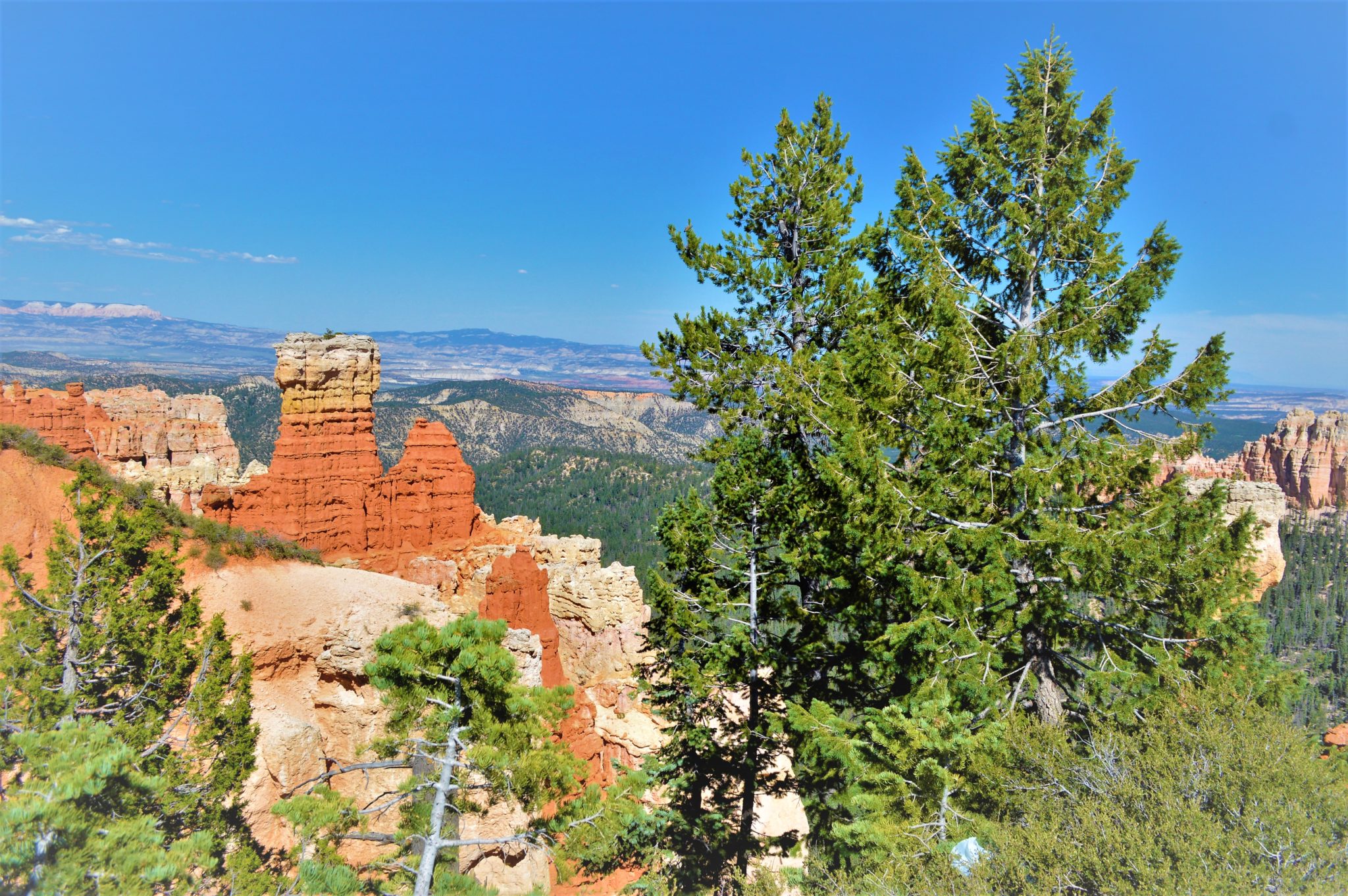 Agua Canyon view Bryce Canyon national park, usa