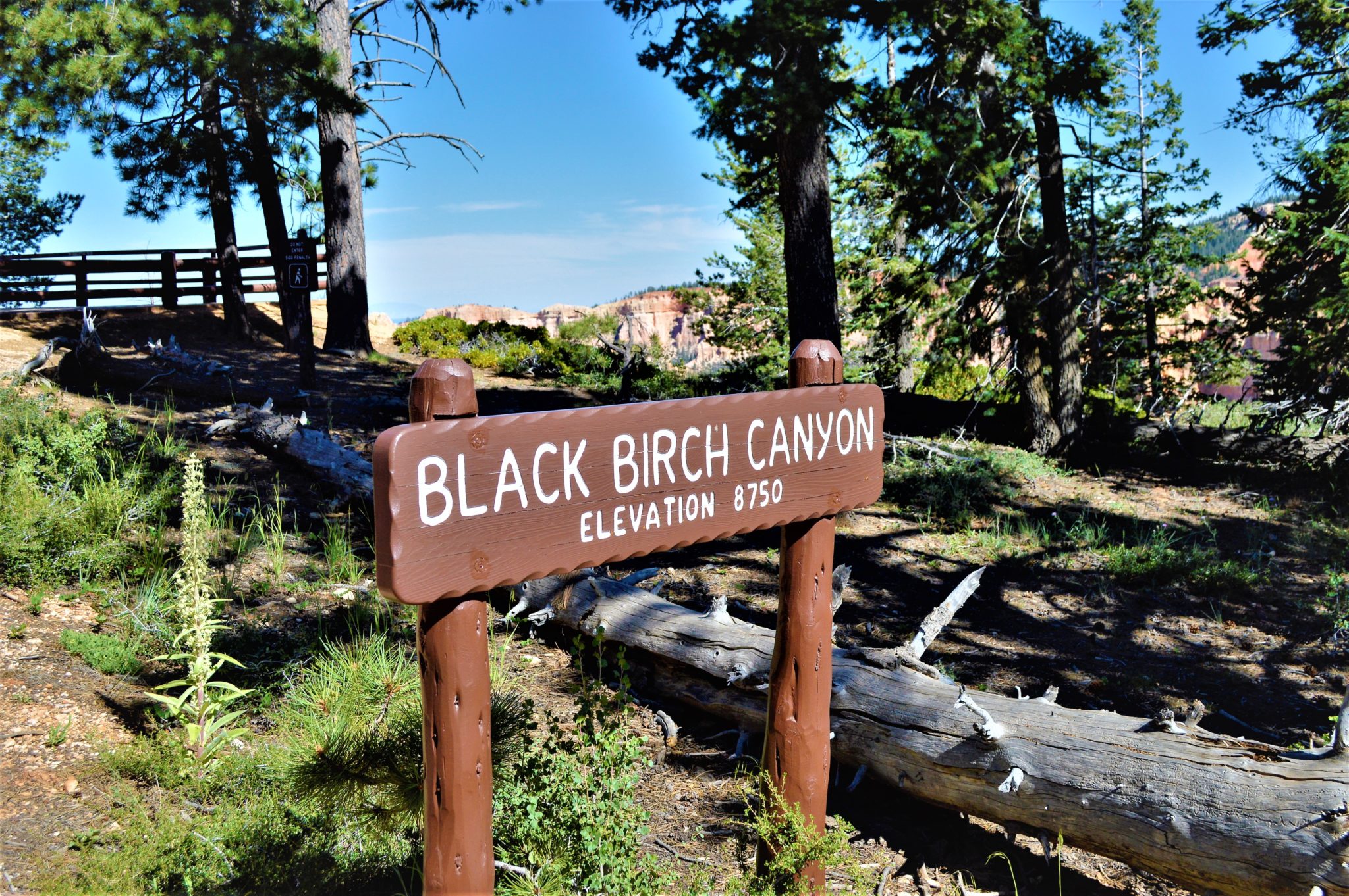 Black Birch Canyon, Bryce Canyon National Park, USA