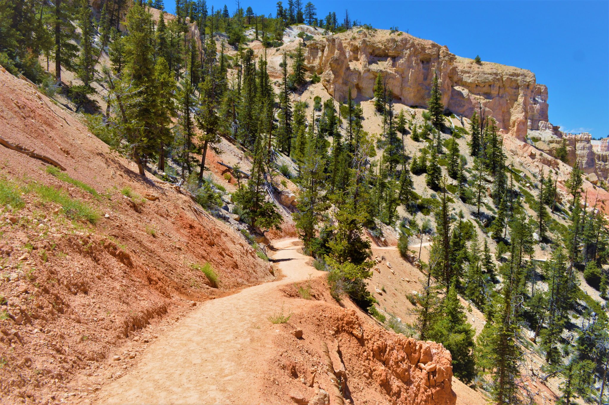 Hiking path, peek a boo loop, Bryce Canyon, USA