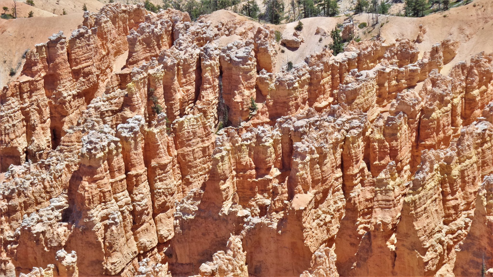 Hoodoos in Bryce Canyon National Park, Utah