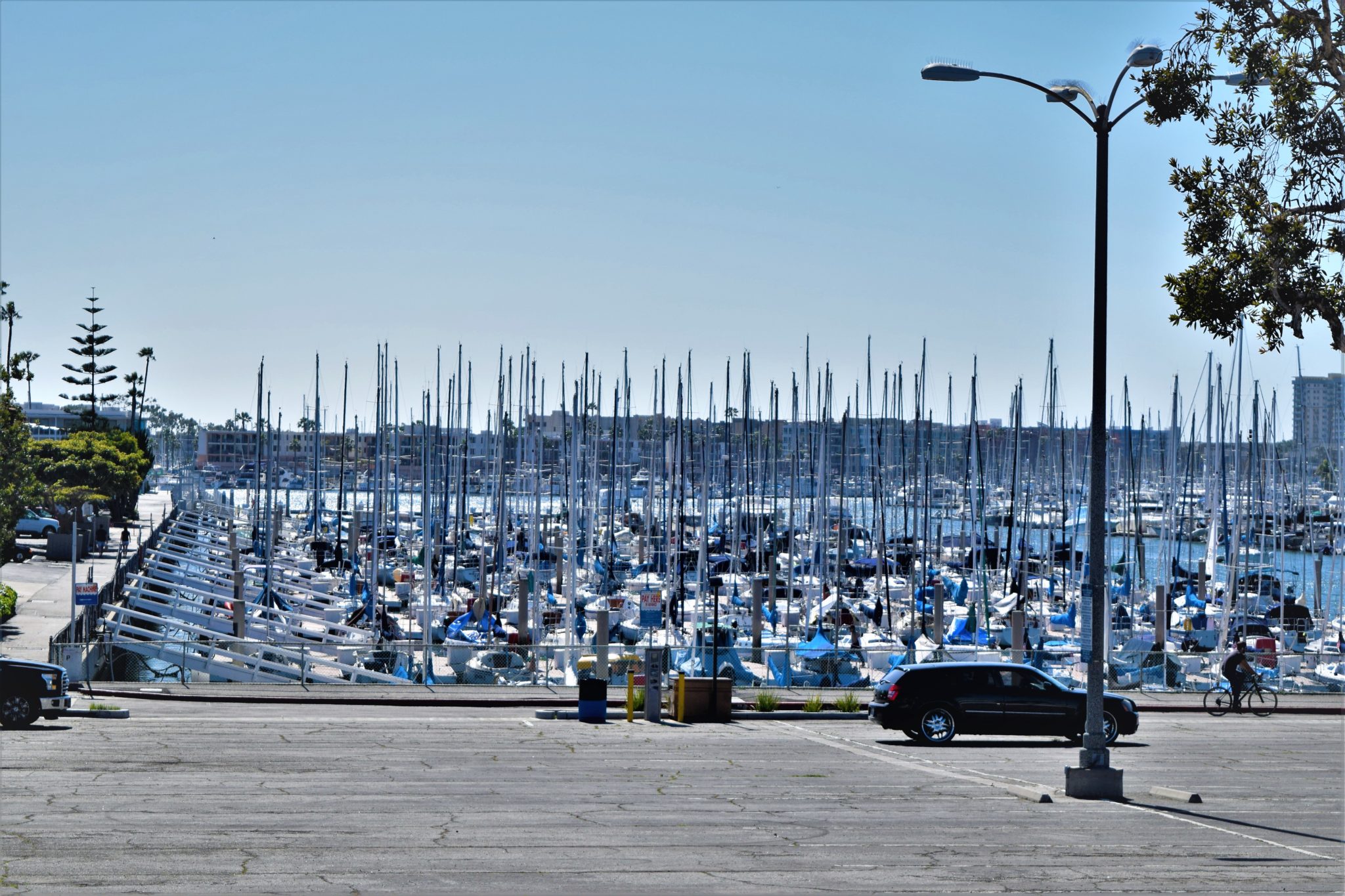 Marina Del Rey, hop on hop off bus los angeles loop