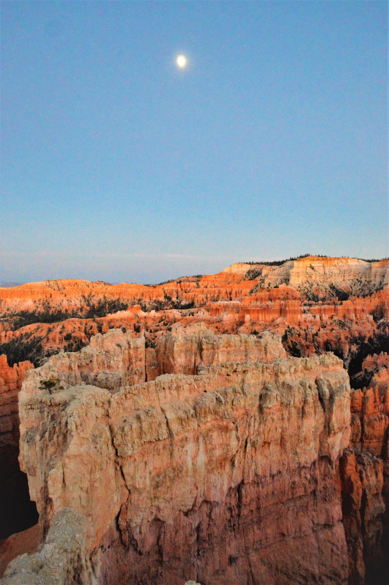 Moon at Sunset Point, Bryce canyon national park, usa