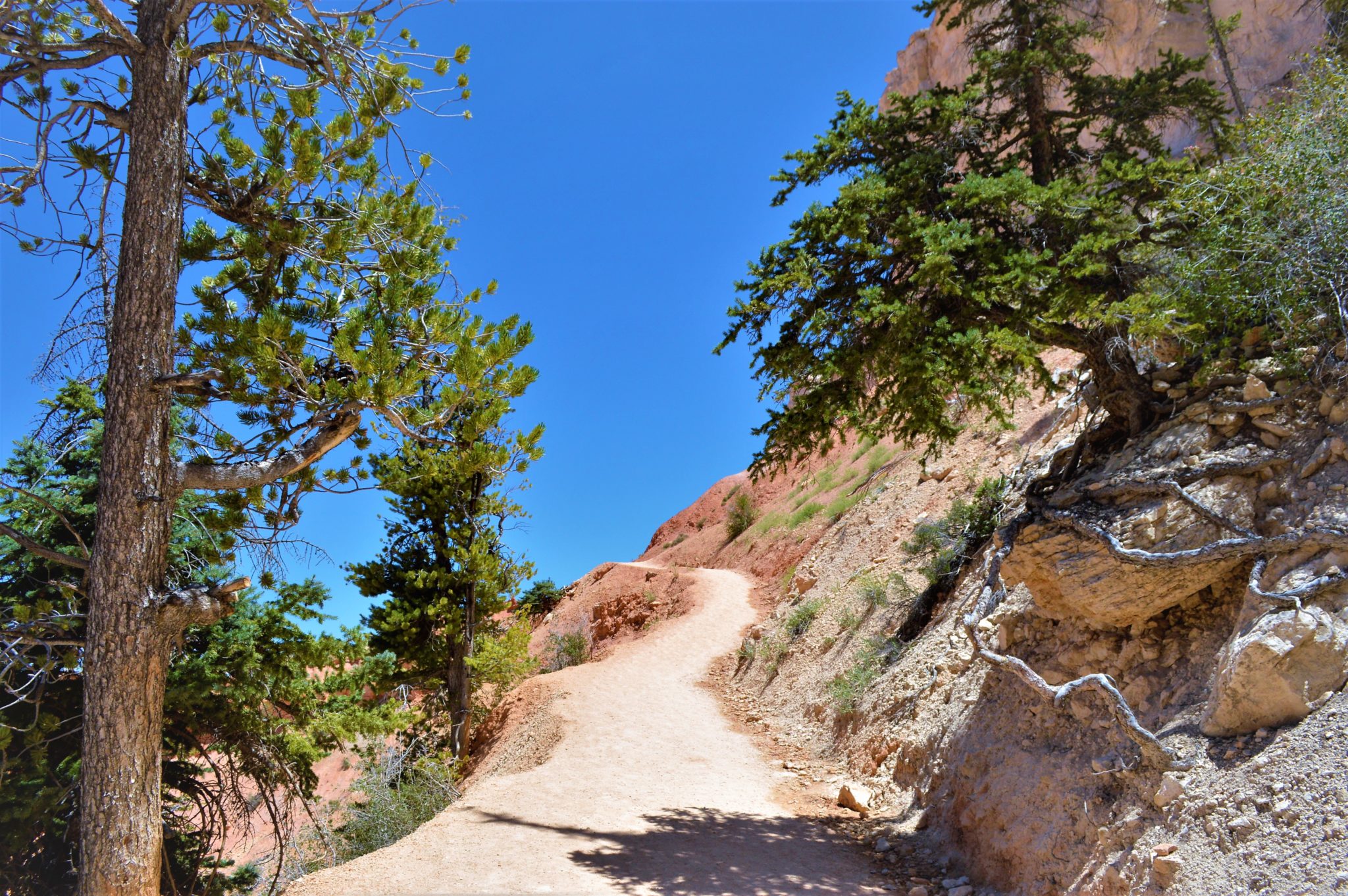 Path on the peek a boo loop in Bryce Canyon, uSA