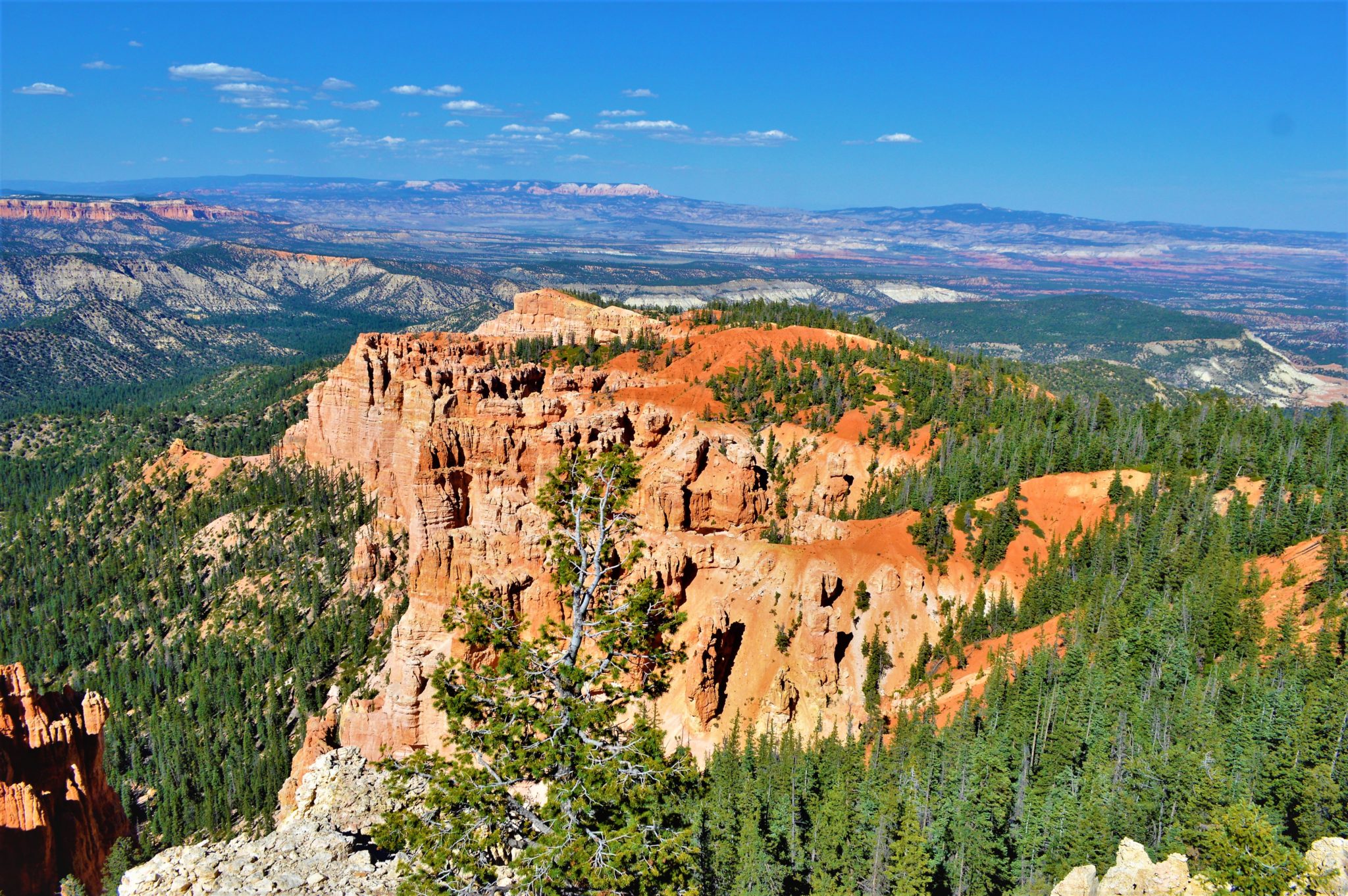 Rainbow point view bryce canyon national park, usa