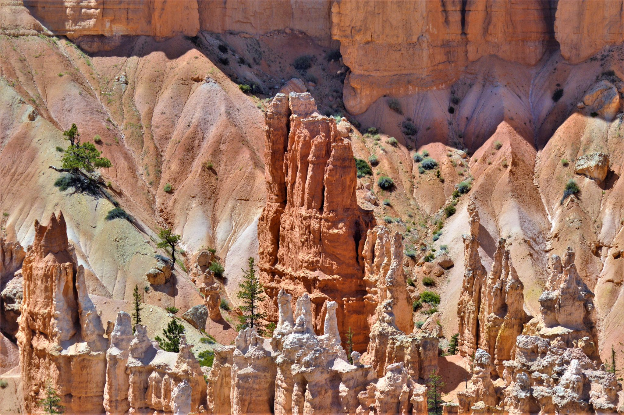 Things to do in Bryce Canyon National Park, Utah