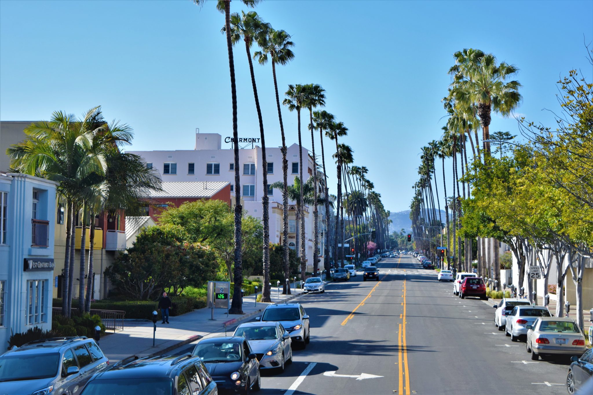 Tree lined streets of la, hop on hop off bus los angeles