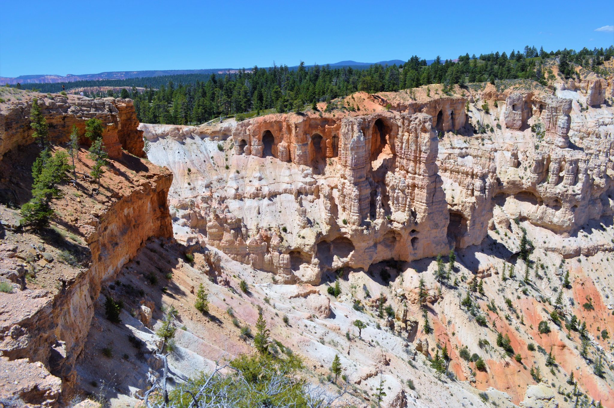 View from Bryce point, things to do in bryce canyon, usa