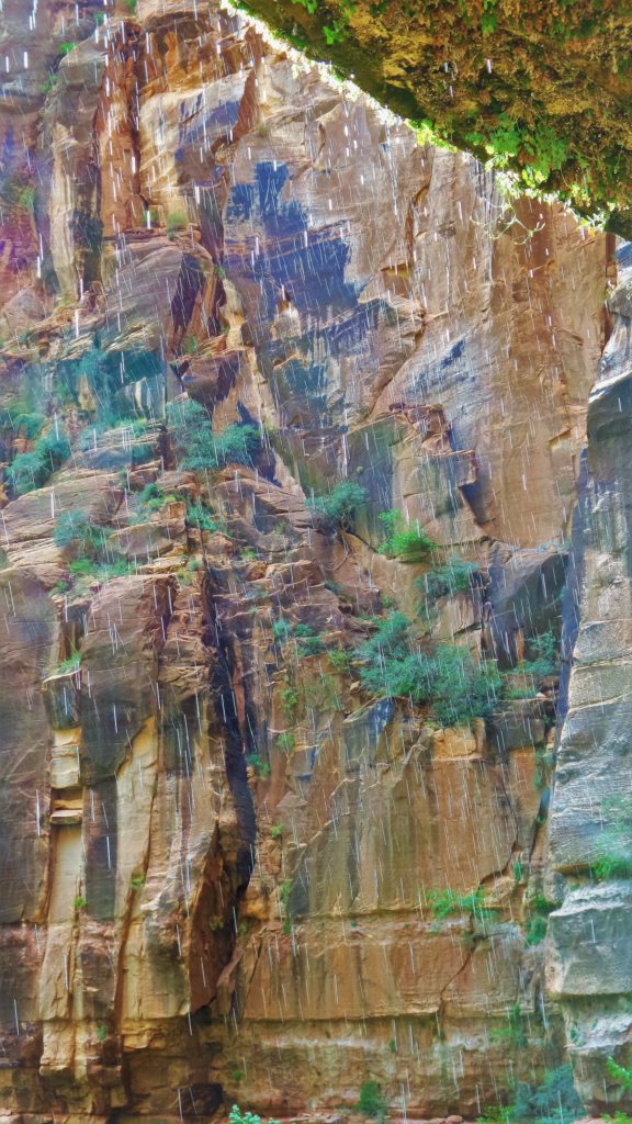 Beneath the weeping rock in Zion National Park, Utah