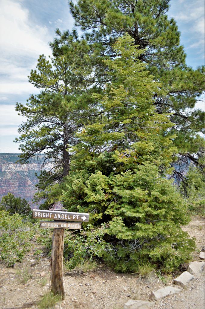 Bright Angel Point, Grand Canyon North Rim