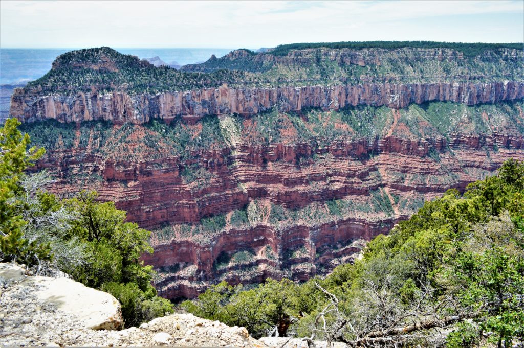 Cliff edges, Grand Canyon North Rim National Park grand canyon trip