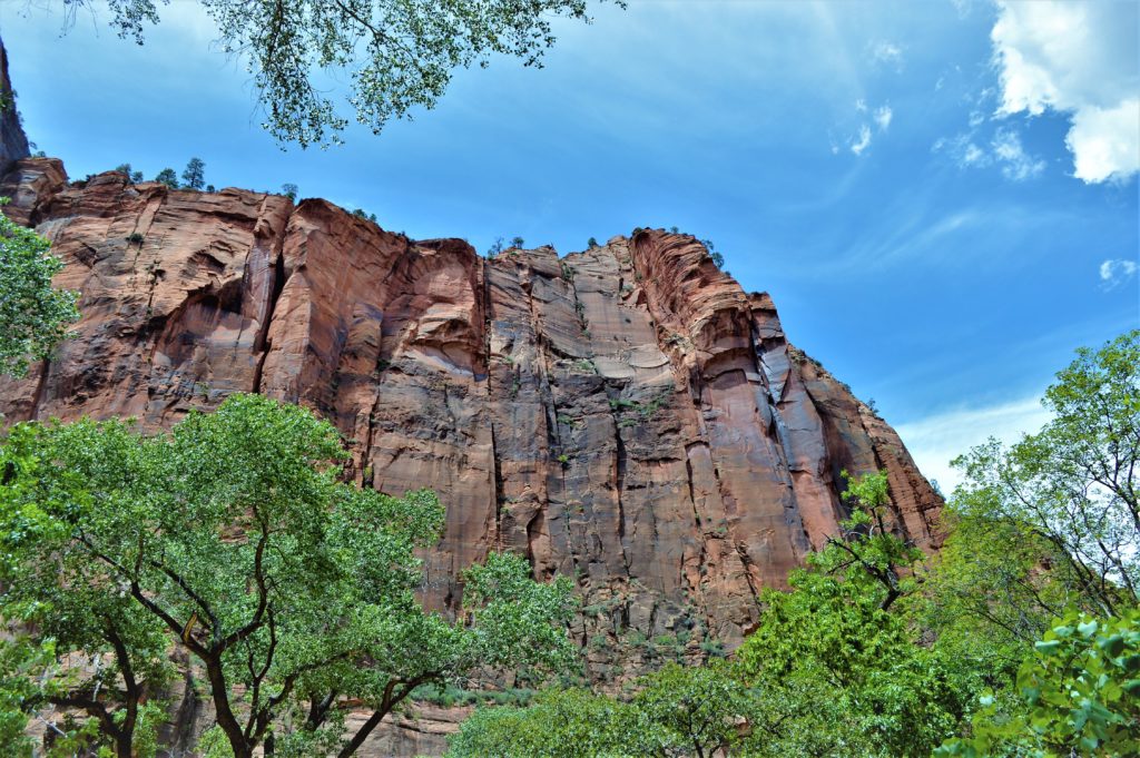Cliffs on the riverside walk, zion national park, hike the narrows