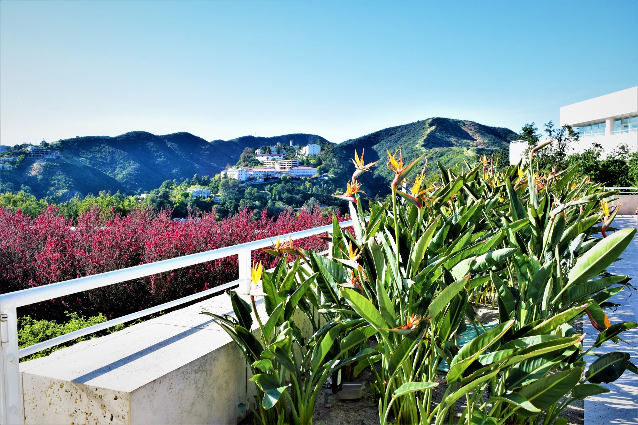 Getty Center view of hills, los angeles