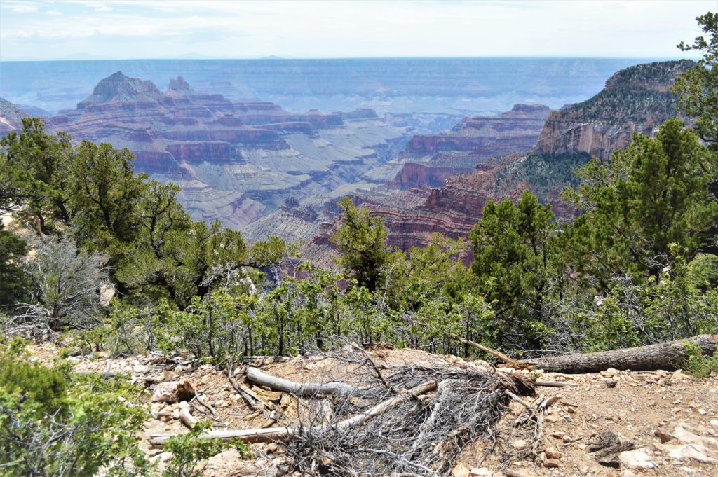 Grand Canyon North Rim National Park, Arizona