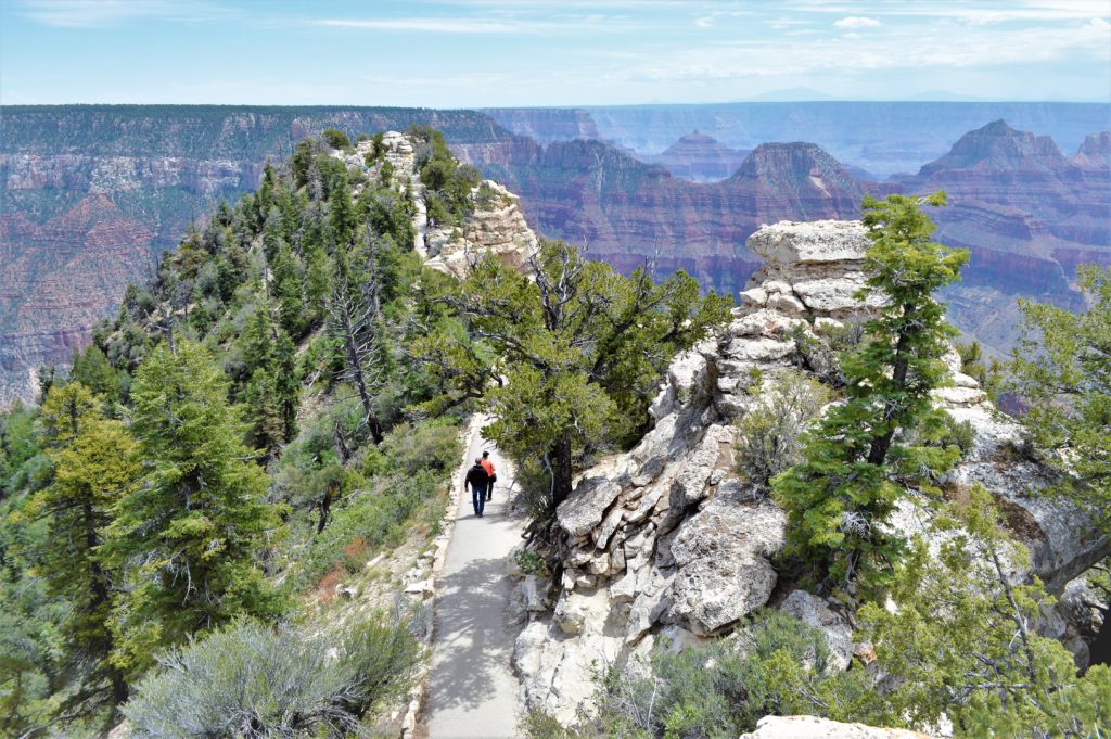 Grand Canyon North Rim view