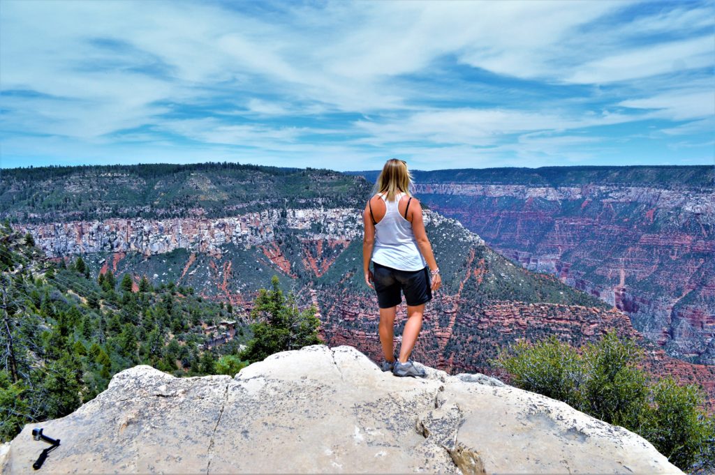 Grand Canyon North Rim viewpoint