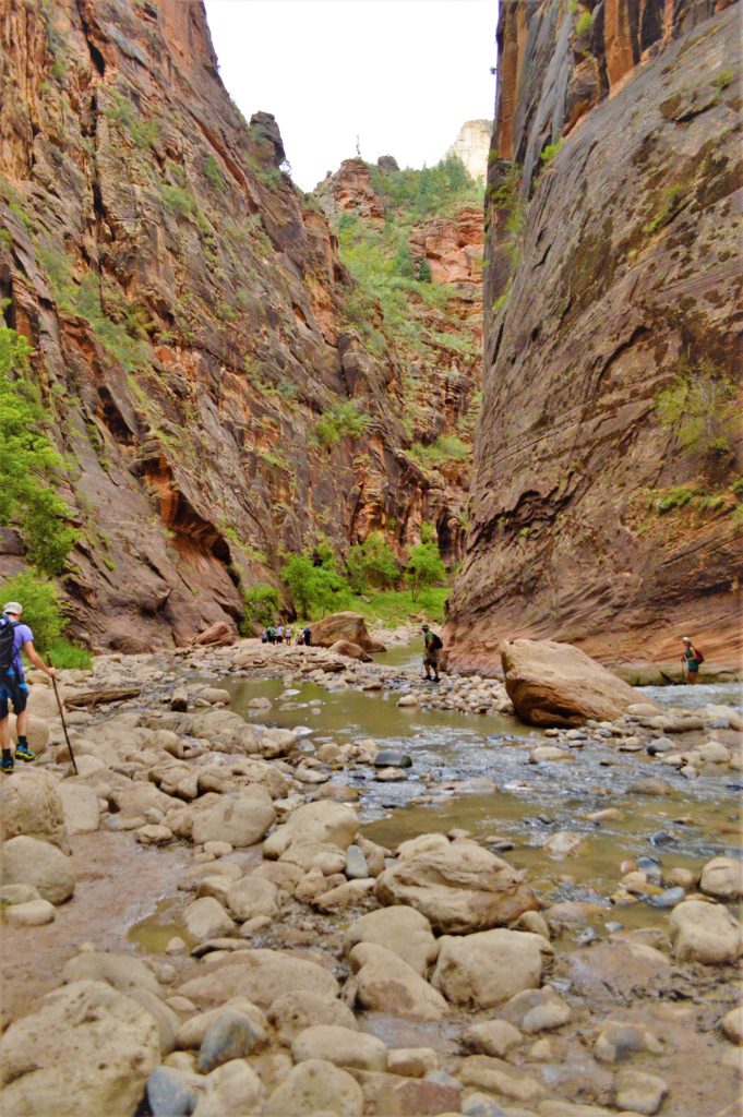 Hikers at the narrows in zion national park