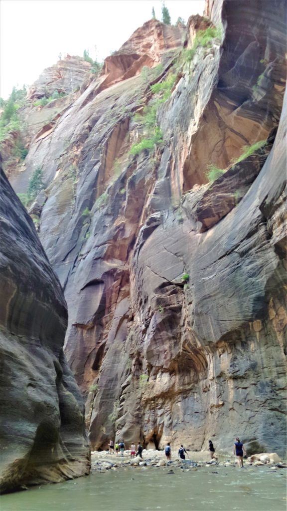 Hikers in the narrows of zion national park