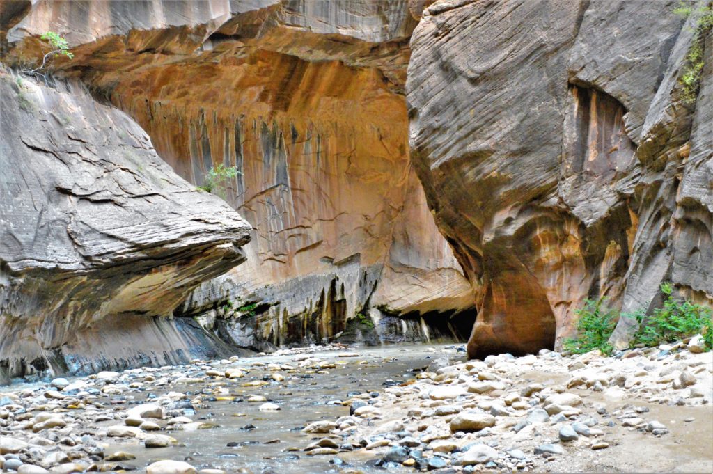 Hiking path on the narrows, Zion National Park