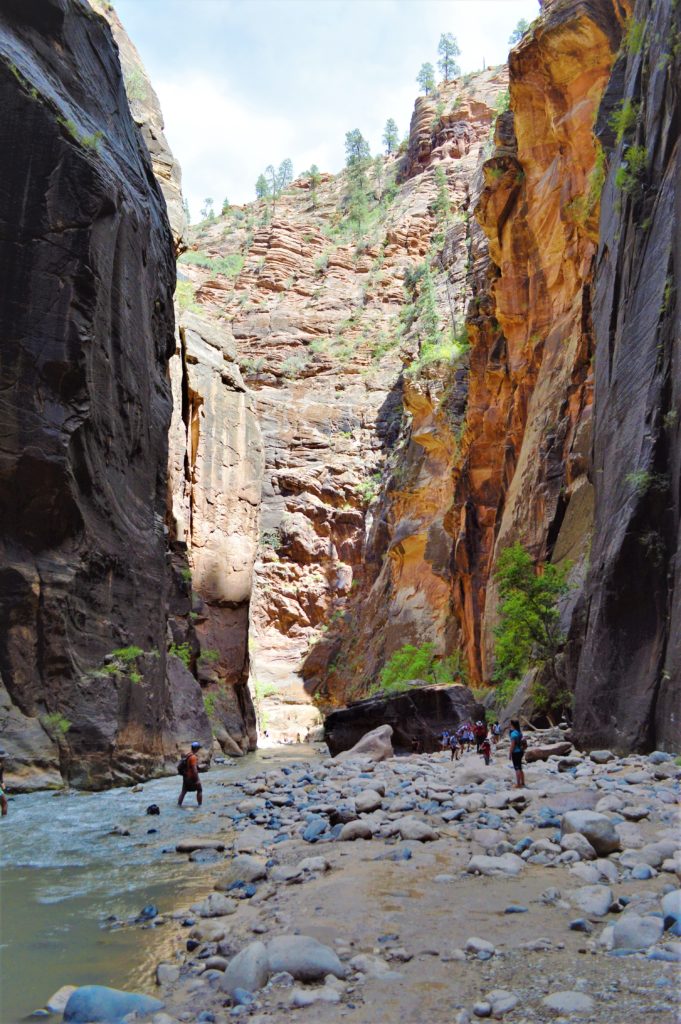 Hiking the Zion Narrows