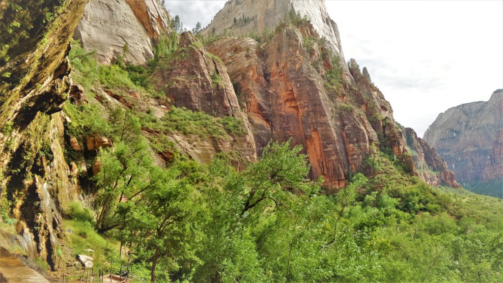 Pathway to weeping rock in Zion National Park, Utah