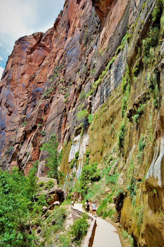 Riverside walk pathway, Zion National Park