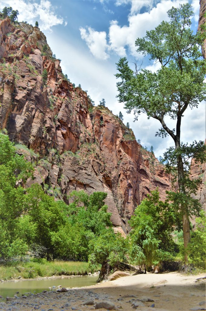Small beach, riverside walk, zion narrows hike