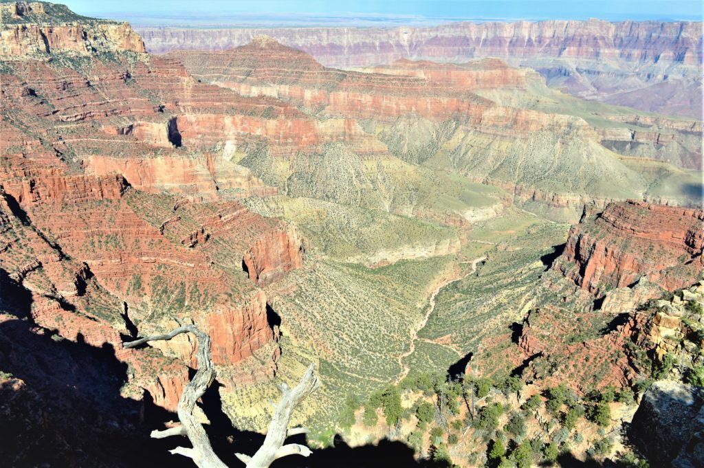 The Grand Canyon North rim