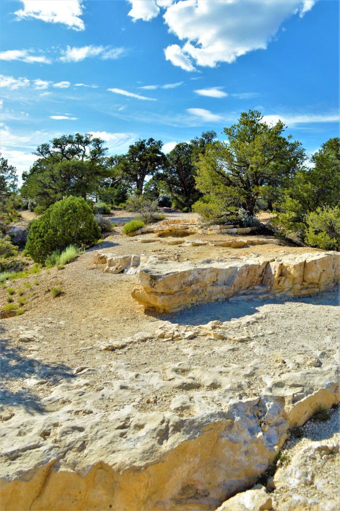 Walking Terrain at Grand Canyon North rim National Park